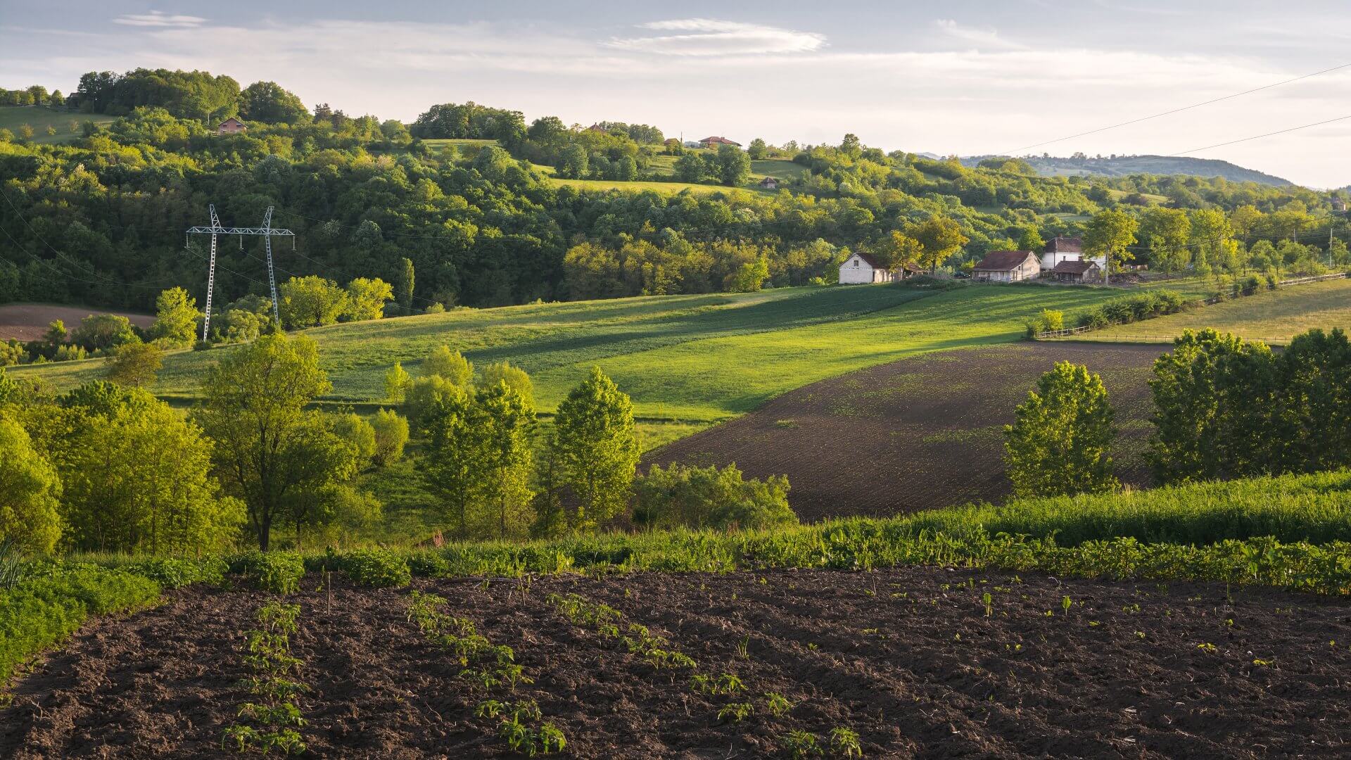 Agriculture et élevage